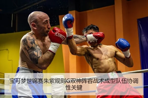 宝可梦世锦赛朱紫规则G双神阵容战术成型队伍协调性关键